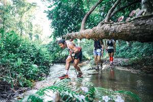 BIB: 
                            <button type="button" onclick="openModal(25438915)" class="btn btn-primary btn-sm float-right btn-popup" data-toggle="modal" data-target=".modal-high-quality">
                        <i class="fas fa-shopping-cart"></i> Add to Cart
                    </button>
                                            <button type="button" onclick="isThisMe(25438915, true)" class="btn btn-success btn-sm float-right btn-popup btn-isme hidden" data-toggle="tooltip" data-placement="bottom" title="นี่คือรูปของคุณใช่ไหม คลิกที่นี่เพื่อเอาเข้าอัลบั้ม">
                        <i class="fas fa-plus"></i> Add to album
                    </button>
                    <button type="button" onclick="isThisMe(25438915, false)" class="btn btn-warning btn-sm float-right btn-popup btn-isnotme hidden">
                        <i class="fas fa-ban"></i> Remove from album
                    </button>